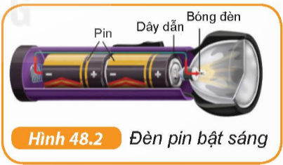 Câu hỏi 1 trang 168 KHTN 6 sách KNTT