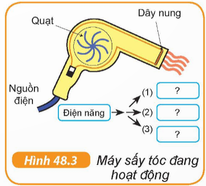 Câu hỏi 2 trang 168 KHTN 6 sách KNTT