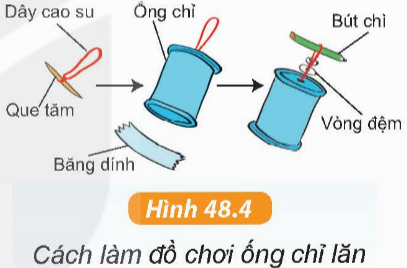 Hoạt động 1 trang 169 KHTN 6 sách KNTT