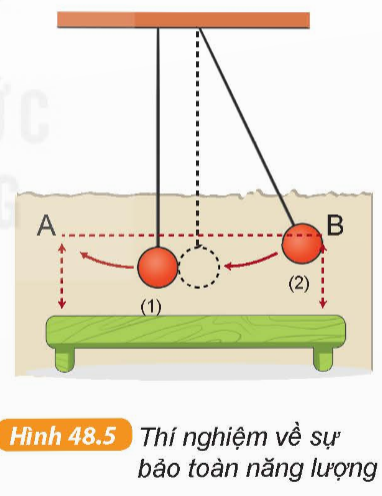 Hoạt động 2 trang 169 KHTN 6 sách KNTT