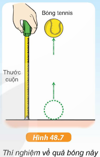 Hoạt động trang 170 KHTN 6 sách KNTT