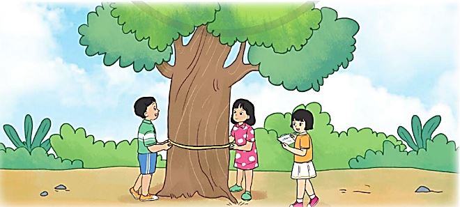 Toán lớp 5 trang 19 Bài 5 tập 2 Cánh Diều