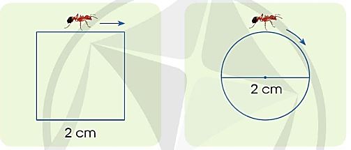 Toán lớp 5 trang 19 Bài 4 tập 2 Cánh Diều