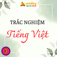 Trắc nghiệm bài Đơn xin vào đội lớp 3 Chân trời sáng tạo