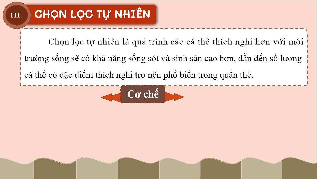 PowerPoint Khoa học tự nhiên 9 KNTT Bài 49