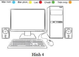 Hình 4