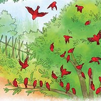 Giáo án Tiếng Việt 5: Bầy chim mùa xuân