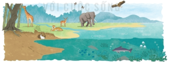 Tác giả - tác phẩm: Trái đất - cái nôi của sự sống - Tác giả tác phẩm (mới 2024) | Ngữ văn lớp 6 Kết nối tri thức