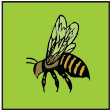 Đề reading TOEFL Primary step 1 - Part 1