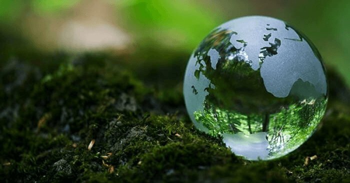 Trái Đất – mẹ của muôn loài - Tác giả tác phẩm (mới 2024) | Ngữ văn lớp 6 Chân trời sáng tạo