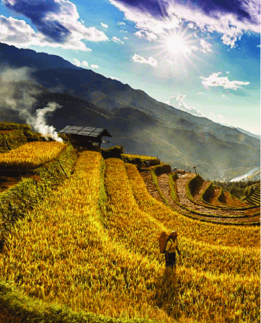 Và tôi nhớ khói - Tác giả tác phẩm (mới 2024) | Ngữ văn lớp 6 Chân trời sáng tạo