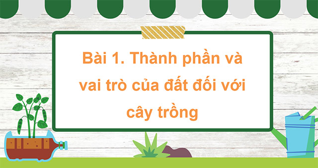 Giáo án PowerPoint Khoa học 5 Kết nối tri thức