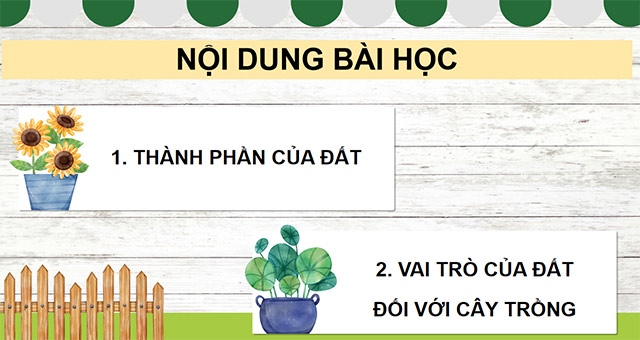 Giáo án PowerPoint Khoa học 5 Kết nối tri thức