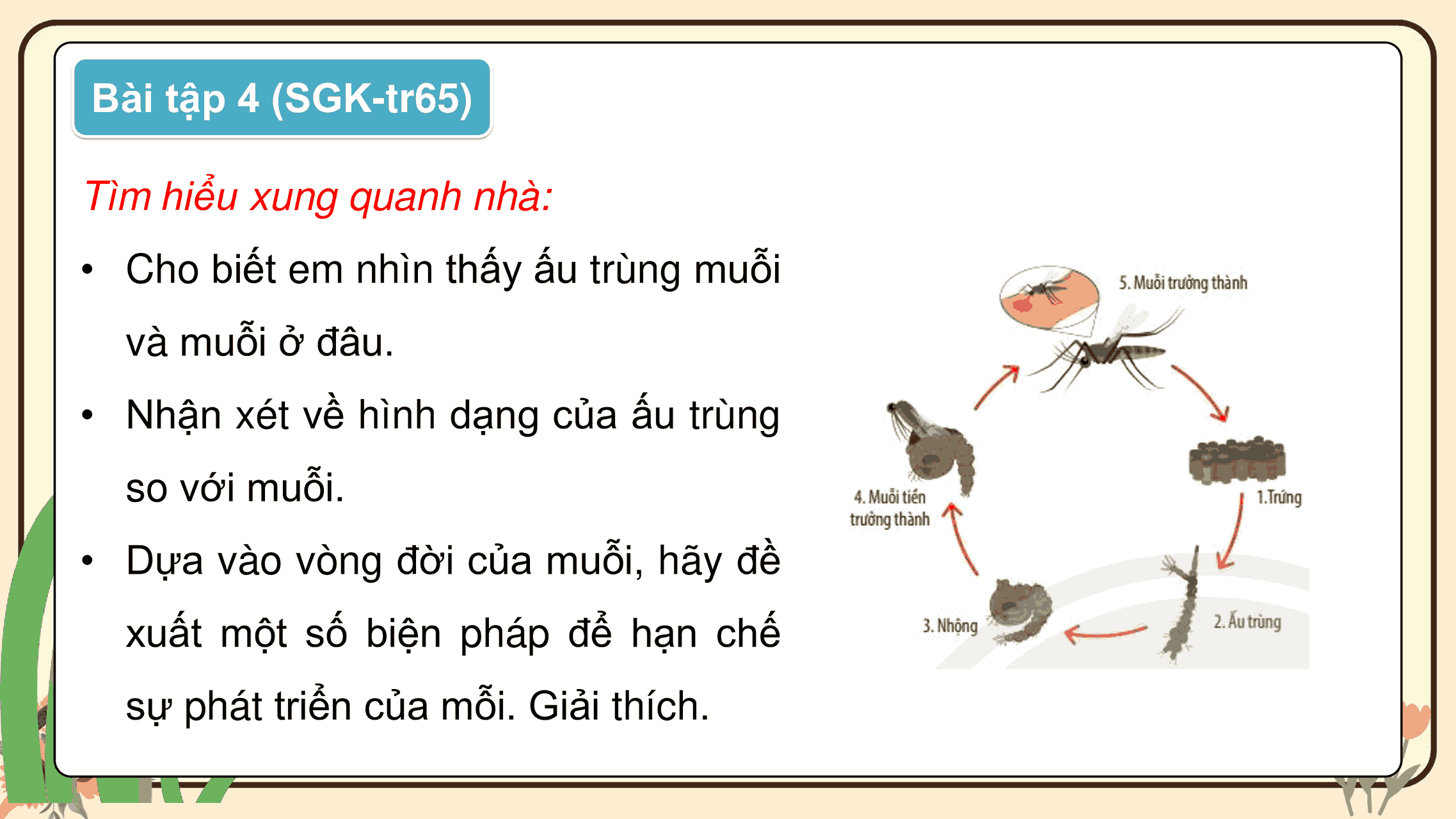Khoa học 5: Ôn tập chủ đề Thực vật và động vật