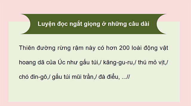 PowerPoint Tiếng Việt 5 Thiên đường của các loài động vật hoang dã