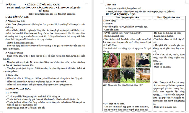 Giáo án Tiếng Việt 5 Thiên đường của các loài động vật hoang dã