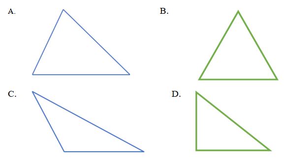 Đề thi giữa học kì 2 môn Toán lớp 5 Cánh Diều