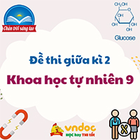 Đề thi giữa kì 2 Khoa học tự nhiên 9 sách Chân trời sáng tạo theo Công văn 7991