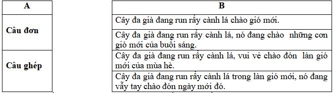 Đề thi Giữa kì 2 lớp 5