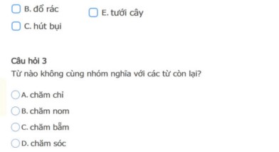 Đề thi Trạng nguyên Tiếng Việt lớp 2 cấp huyện
