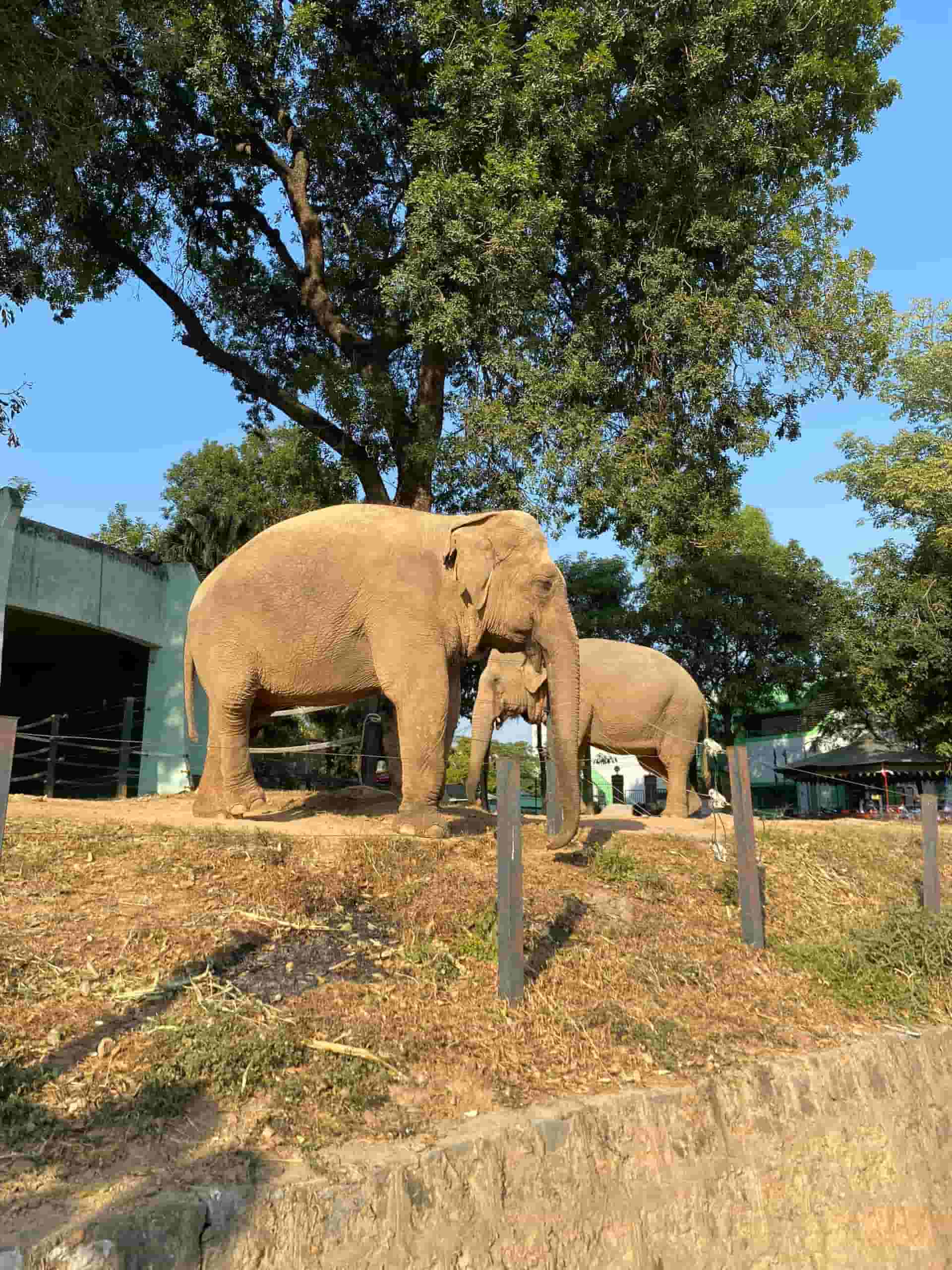 691711a7be7700295966 min 1*673151