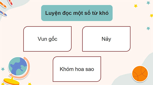PowerPoint Tiếng Việt 5 Điều kì diệu dưới những gốc anh đào