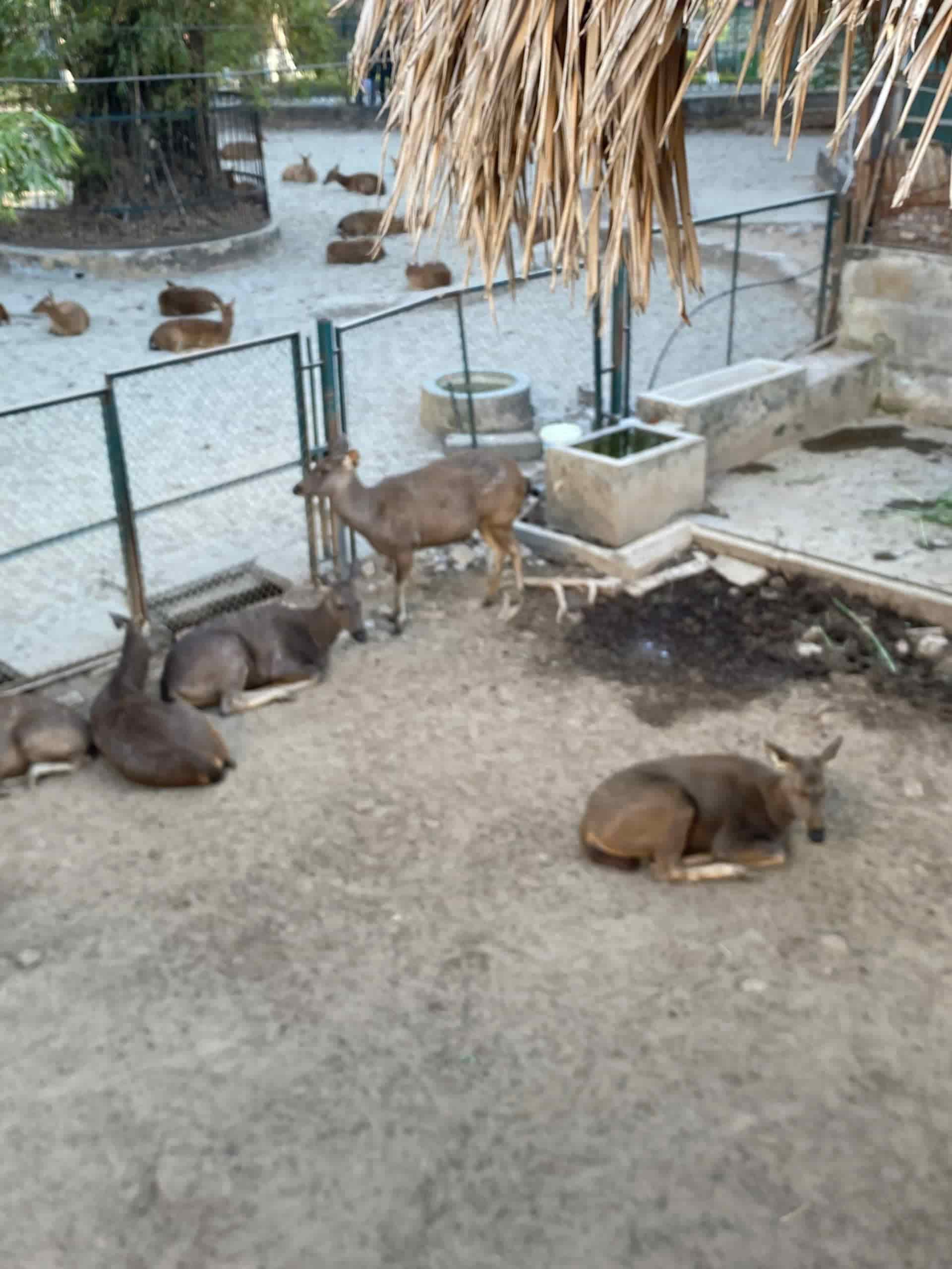 aa0dc89f674fd911805e min 1*673152