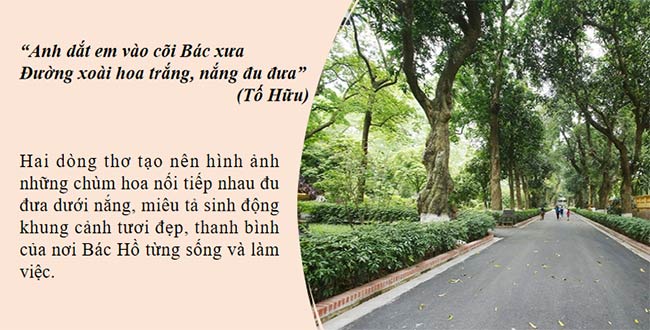 Giáo án Ngữ văn 9 Bài 7: Tiếng Việt