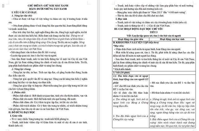 Giáo án Tiếng Việt 5 Luyện tập quan sát, tìm ý cho bài văn tả người