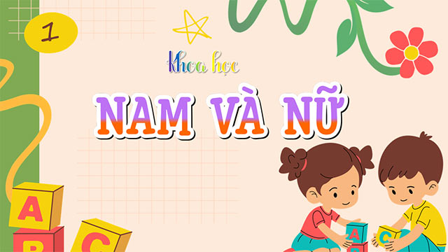 PowerPoint Khoa học 5 Nam và nữ