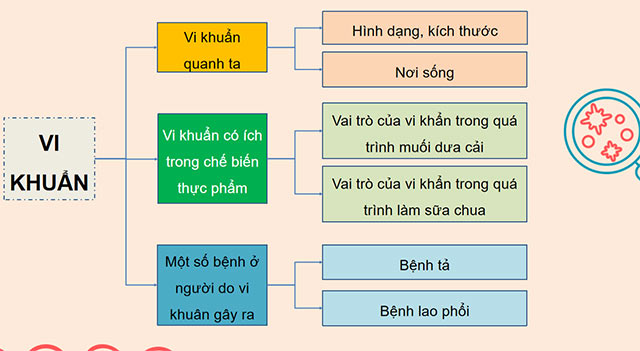 PowerPoint Khoa học 5 Ôn tập chủ đề Vi khuẩn