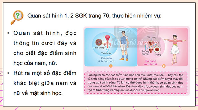 PowerPoint Khoa học 5 Một số đặc điểm của nam và nữ