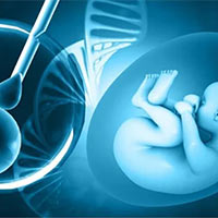 Giáo án Khoa học 5 Bài 15: Sự sinh sản ở người