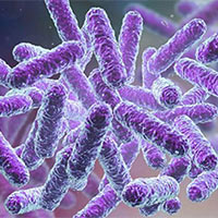 Giáo án Khoa học 5 Bài 21: Ôn tập chủ đề Vi khuẩn