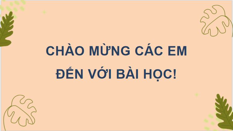 Bài 19: Thiên nhiên vùng Tây Nguyên