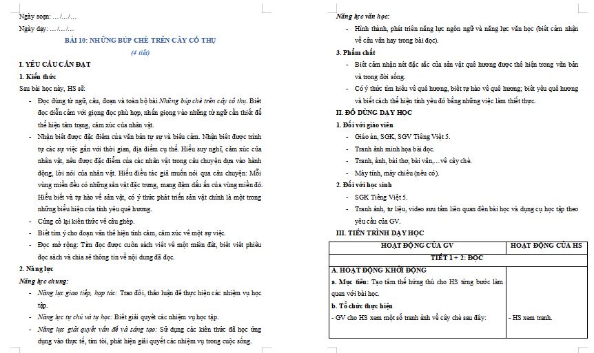 Những búp chè trên cây cổ thụ