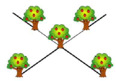 Hoạt động khám phá 1 trang 74 Toán 6 Tập 2 Chân trời sáng tạo | Giải Toán lớp 6