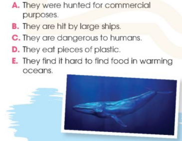 Tiếng Anh 12 Global Success Review 3 Skills