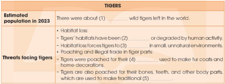 Tiếng Anh 12 Unit 8 Listening Global Success