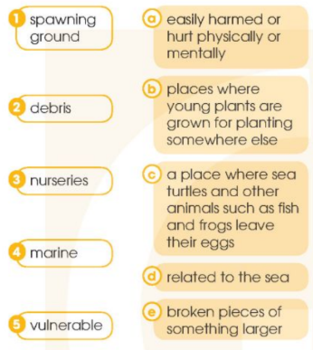 Tiếng Anh 12 Unit 8 Reading Global Success