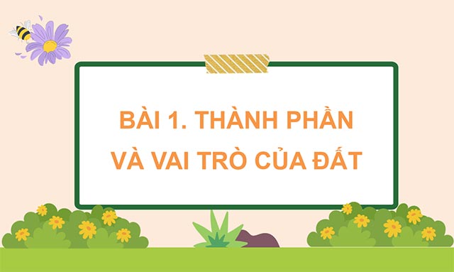 Giáo án PowerPoint Khoa học 5 Chân trời sáng tạo