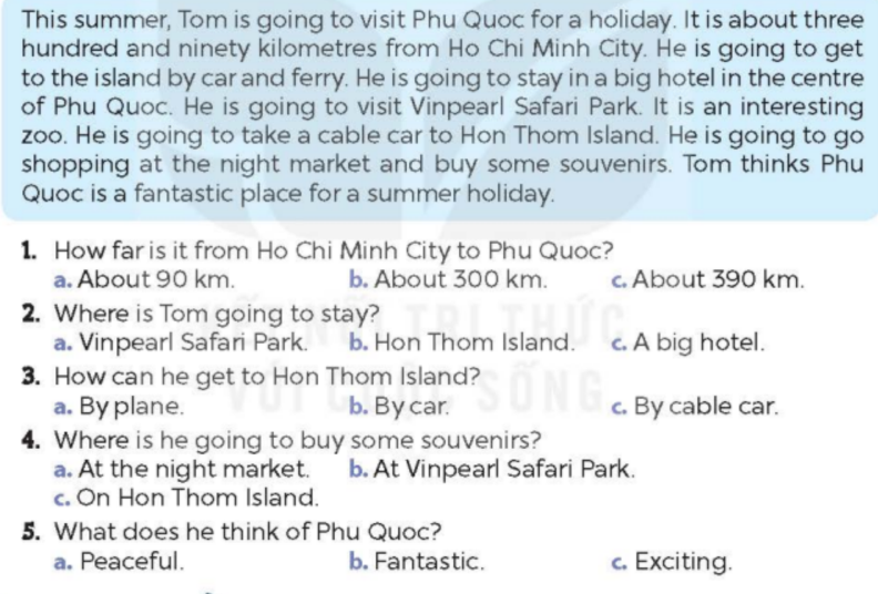 Tiếng Anh 5 Global Success Review 4