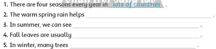 Family and Friends 5 National Edition Fluency Time 3 Lesson 2