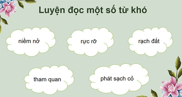 PowerPoint Tiếng Việt 5 Hoa trạng nguyên