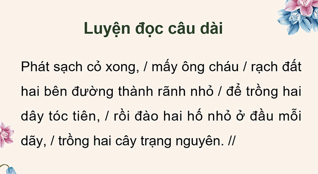 PowerPoint Tiếng Việt 5 Hoa trạng nguyên