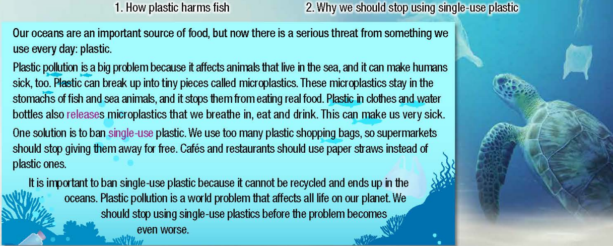 Tiếng Anh 10 Unit 8 lesson 3