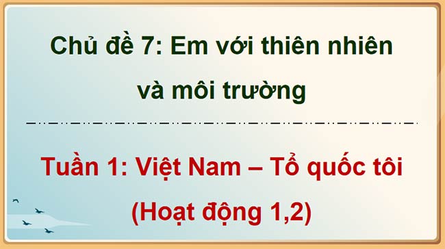    Giáo án HĐTN 9 Bài 1: Việt Nam Tổ quốc tôi 