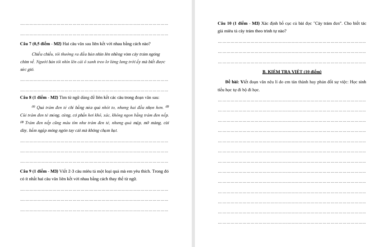 Đề thi cuối học kì 2 môn Tiếng Việt lớp 5 Chân trời sáng tạo