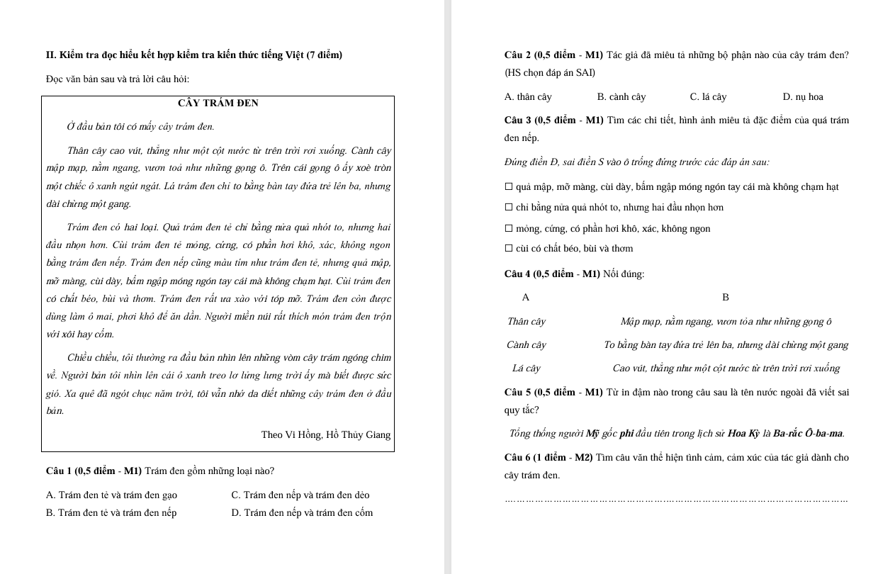 Đề thi cuối học kì 2 môn Tiếng Việt lớp 5 Chân trời sáng tạo