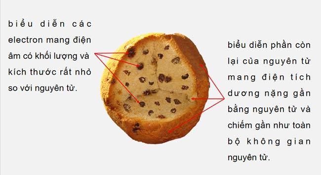 Giáo án Vật lí 12 Bài 21: Cấu trúc hạt nhân